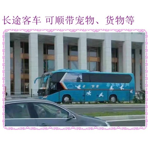临朐到宁德客车专线直达直达汽车2024汽车大巴车