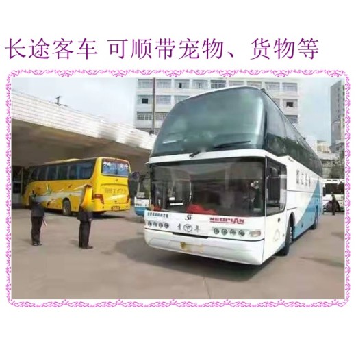 客车推荐：哈尔滨到金华客车长途车直达客车