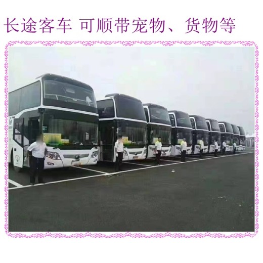 客车推荐：哈尔滨到义乌营运汽车直达客车汽车
