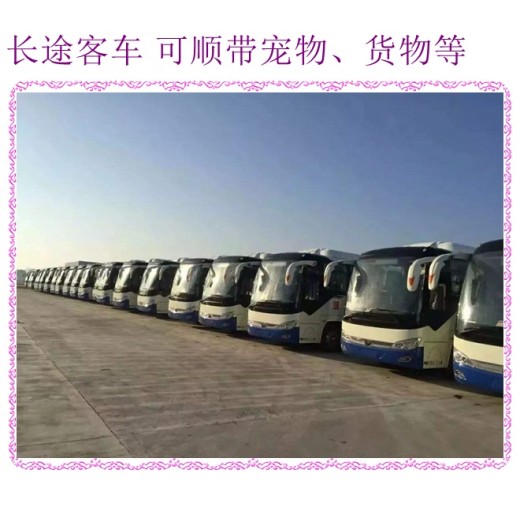 哈尔滨到杭州长途客车直达客车