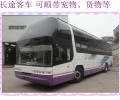 青州到海城客车专线直达直达客车