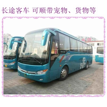 荣城到天津汽车客车汽车客车大概多少钱2024豪华大巴车