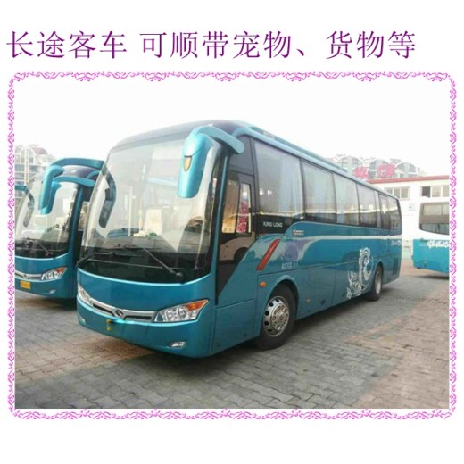 大连到青州汽车客车直达客车