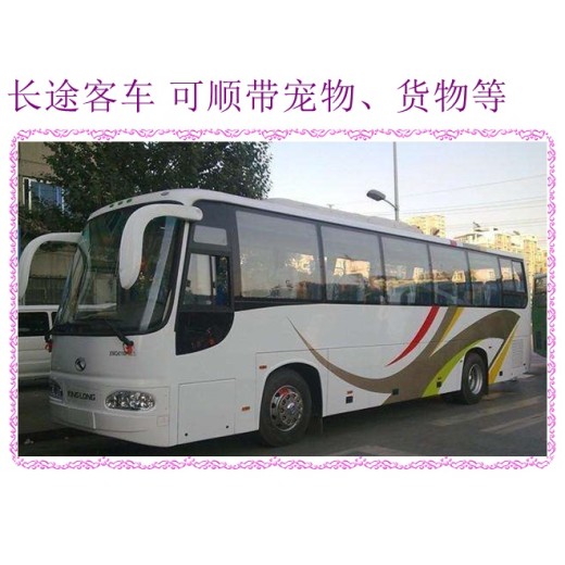 客车推荐：哈尔滨到绍兴专线卧铺大巴大巴汽车正规班次