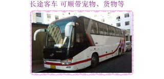 客车推荐：哈尔滨到萧山豪华大巴直达客车汽车图片1
