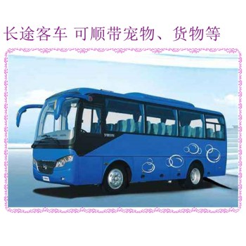 客车推荐：铜陵到青州豪华汽车直达客车汽车