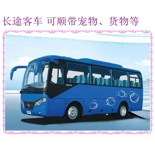 客车推荐：葫芦岛到威海客车大巴直达客车