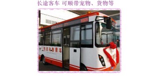 客车推荐：哈尔滨到萧山豪华大巴直达客车汽车图片3