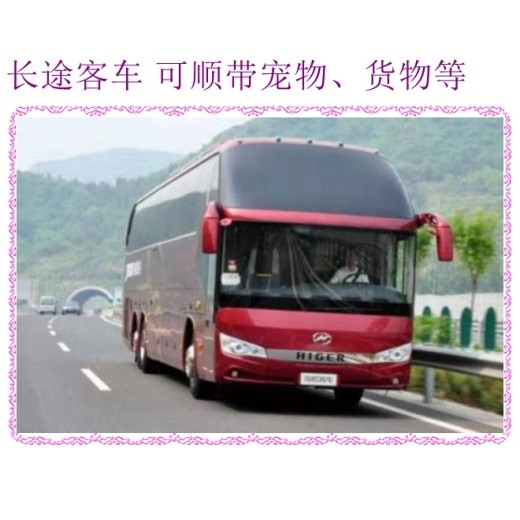济南到庆阳汽车卧铺大巴直达客车2024大巴客车