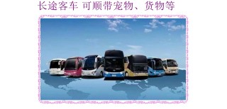 客车推荐：哈尔滨到萧山豪华大巴直达客车汽车图片4