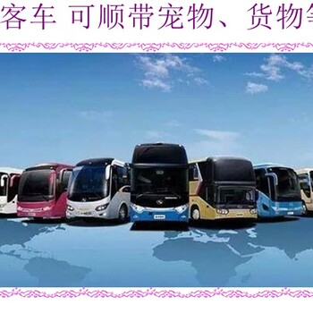 客車推薦：哈爾濱到膠南長途汽車運輸營運專線汽車