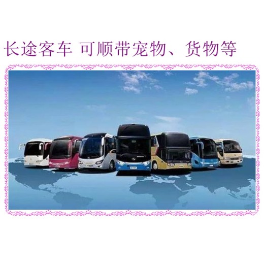 客车推荐：哈尔滨到义乌直达大巴客车汽车