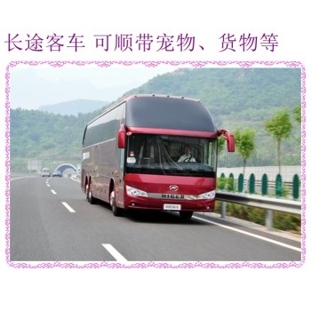 日照到南京直达客查询营运始发大巴2024长途大巴车