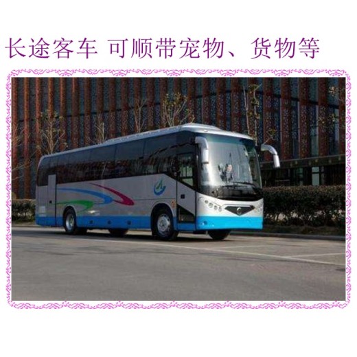 青州到乳山汽车长途车汽车时刻表2024长途大巴车