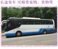 东营到九江的汽车班次2024汽车大巴车