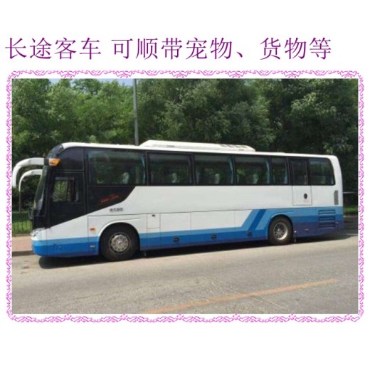 客车推荐：哈尔滨到义乌汽车客车专线长途客车票价查询