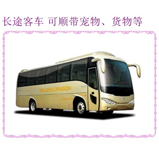 淄博到泰安大巴新时刻表新票价查询2024汽车大巴车