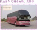 青州到临汾营运大巴直达客车