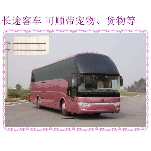 客车推荐：哈尔滨到温州汽车卧铺大巴直达客车汽车