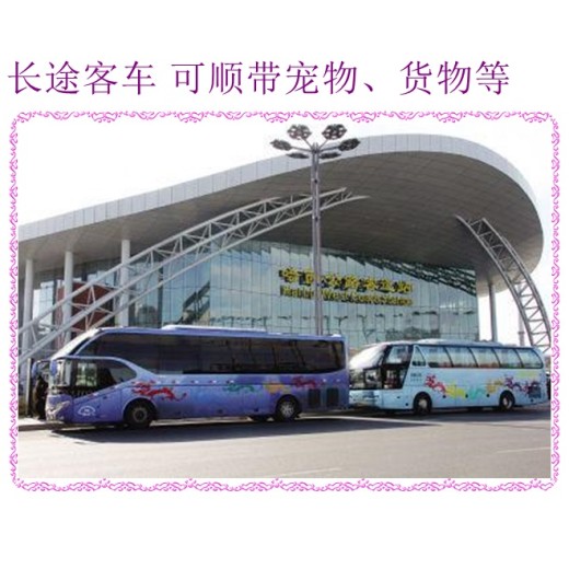 哈尔滨到杭州客车大巴时刻表查询