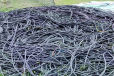 西安市回收废铁废铜电缆废品回收整厂打包厂房拆迁设备等