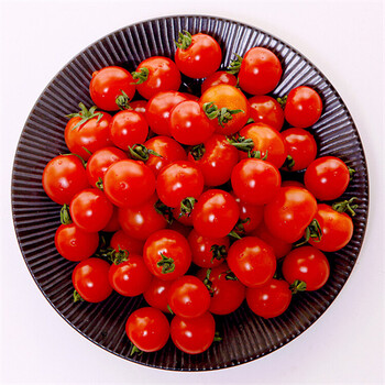 嘉興桐鄉(xiāng)企業(yè)飯?zhí)贸邪?guī)資質(zhì)蔬菜配送
