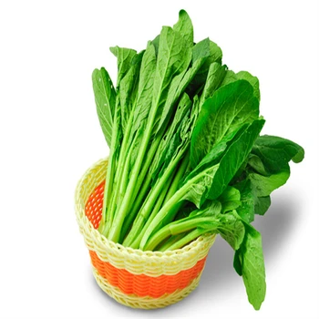 海鹽縣團膳承包價位生鮮蔬菜配送