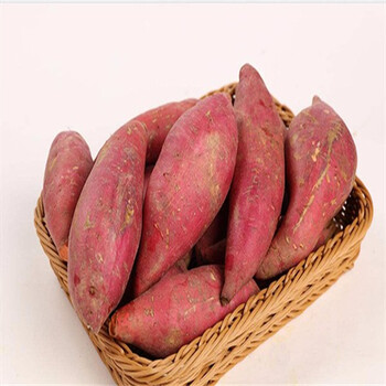 嘉興海鹽學(xué)校食堂外包一站式服務(wù)配送農(nóng)副產(chǎn)品