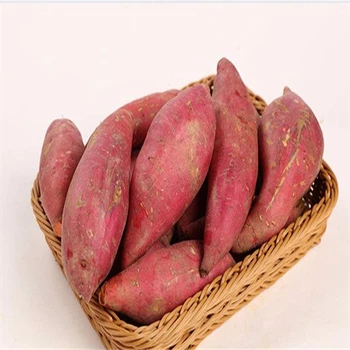 海鹽縣團膳承包價位生鮮蔬菜配送