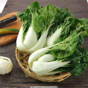 海盐县食堂托管外包价格行情学校蔬菜配送方案