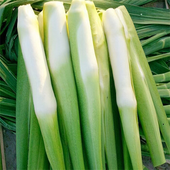平湖市醫(yī)院食堂承包正規(guī)資質(zhì)食堂蔬菜配送價錢