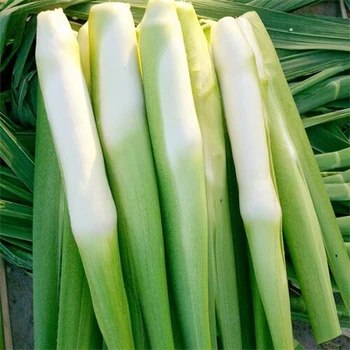 平湖市醫(yī)院食堂承包正規(guī)資質(zhì)食堂蔬菜配送價(jià)錢(qián)