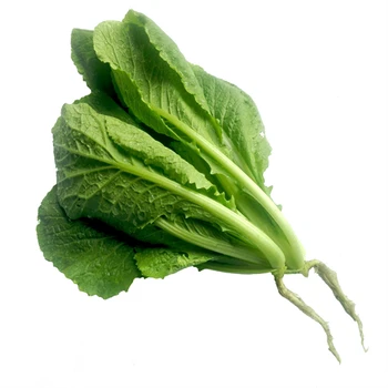 嘉善職工食堂承包送貨上門生鮮食品配送中心