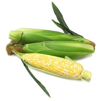 嘉善職工食堂承包送貨上門生鮮食品配送中心