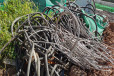句容电缆回收不锈钢回收当场结算