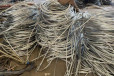 商州区钢芯铝绞线回收带皮电缆回收上门评估