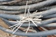 立山区钢芯铝绞线回收电力电缆回收上门评估