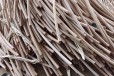 桦甸平方线回收回收带皮电缆价格电议