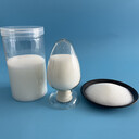 層析硅膠100-200目大分子蛋白分離提純吸附