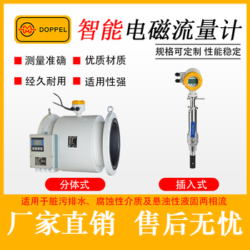 電磁流量計DPL25031211ECB-DN25、DN40一體型法蘭連接
