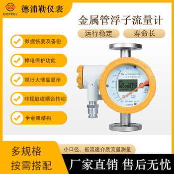 德浦勒仪表金属管浮子流量计DN125测量介质水一体型法兰连接
