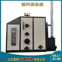 生物質(zhì)顆粒燃料蒸汽發(fā)生器全自動蒸汽發(fā)生器定制廠