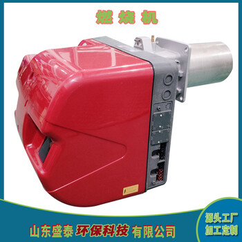 燃?xì)馊紵龣C(jī)FS10型號鍋爐蒸汽發(fā)生器燃燒器