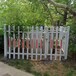 小區(qū)圍墻庭院護(hù)欄電力圍欄PVC塑鋼護(hù)欄變壓器圍欄