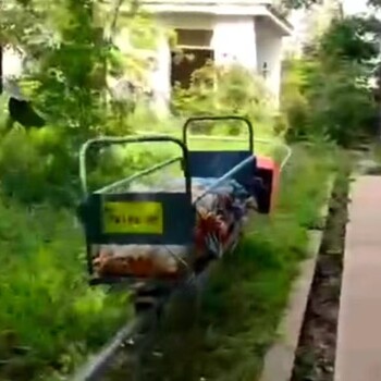 福建單軌運(yùn)輸車電動(dòng)單軌運(yùn)輸車
