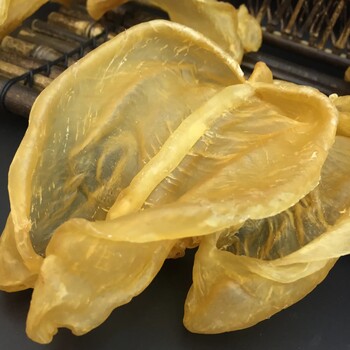 北京花膠魚膠銷售