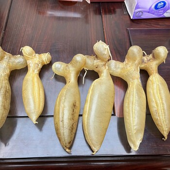 北京蜘蛛公花膠銷售