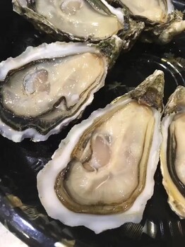 北京法國生蠔銷售