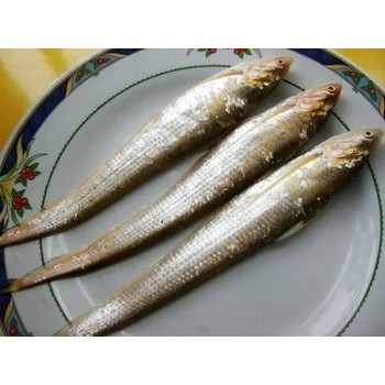 北京江刀魚銷售