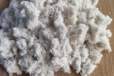 批发生产宠物饲料纤维冷藏厂添加剂白色牛皮纤维